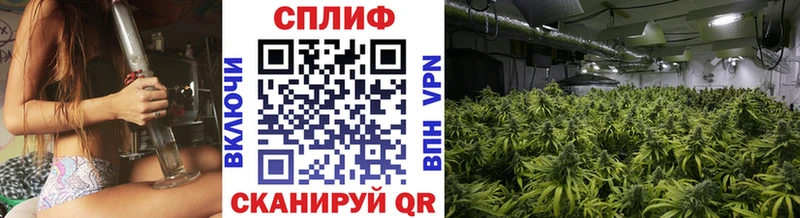 Купить  Зарайск  МАРИХУАНА индика 